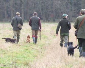 Shooting party on a Walked up shooting day.